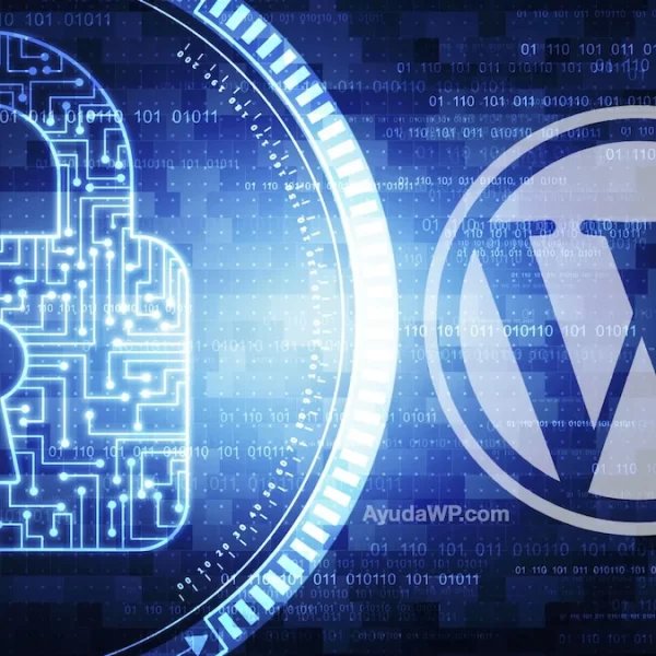 Noticias 8 10 pautas Esenciales para Garantizar la Seguridad de tu Sitio…