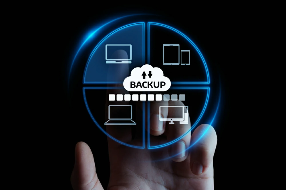 10 pautas Esenciales para Garantizar la Seguridad de tu Sitio Web en WordPress 6 wp backup 1